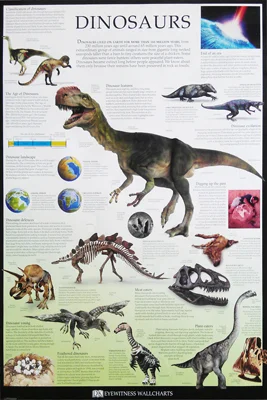 KID007_Dinosaurs