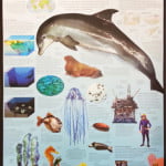 KID008_The_Ocean